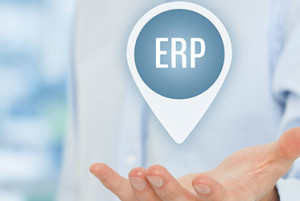 small-business erp solutions